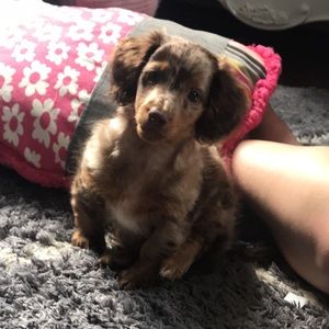 Meet your Posher, Isabelle